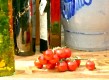 Foto Cherry Tomaten